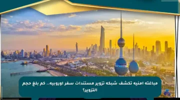مباغتة أمنية تكشف شبكة تزوير مستندات سفر أوروبية.. كم بلغ حجم التزوير؟